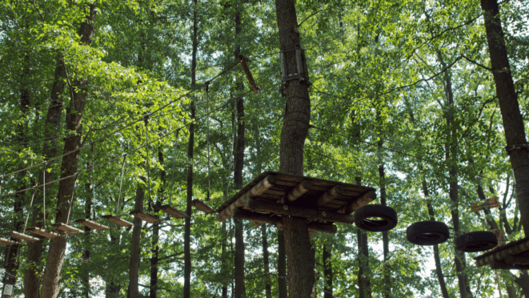 Kletterwald Speyer