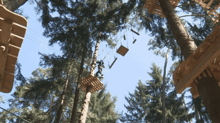 Münchner Wald Kletterwald Vaterstetten
